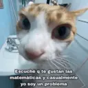 Կպչուն պիտակ