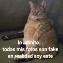 Կպչուն պիտակ