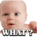 స్టికర్