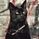 স্টিকার