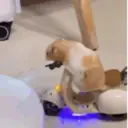 స్టికర్