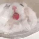 స్టికర్