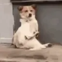 স্টিকার