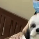 স্টিকার