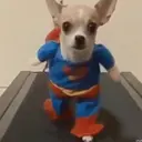 স্টিকার