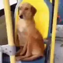 স্টিকার