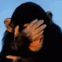 Կպչուն պիտակ