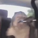 ස්ටිකර්