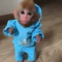 ස්ටිකර්