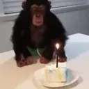 ස්ටිකර්