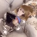 ස්ටිකර්