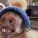 ස්ටිකර්