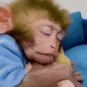 ස්ටිකර්