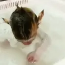 ස්ටිකර්