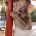 ස්ටිකර්