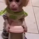 ස්ටිකර්