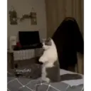 สติกเกอร์