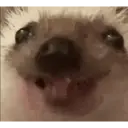 สติกเกอร์