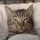 สติกเกอร์