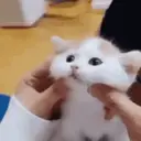 สติกเกอร์