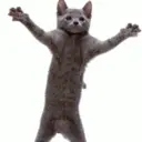 ස්ටිකර්