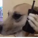 ස්ටිකර්