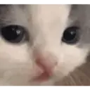 ස්ටිකර්