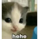 ස්ටිකර්