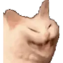 ස්ටිකර්