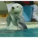 స్టికర్