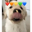 స్టికర్