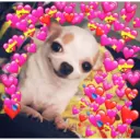 స్టికర్