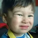 স্টিকার