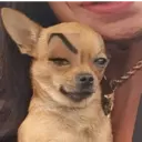 స్టికర్