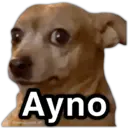 స్టికర్