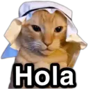 స్టికర్