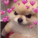 ස්ටිකර්