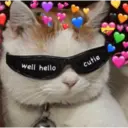 ස්ටිකර්