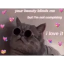 ස්ටිකර්