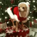 ස්ටිකර්