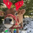 ස්ටිකර්