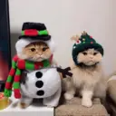 ස්ටිකර්