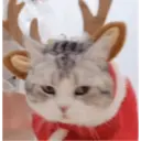 ස්ටිකර්