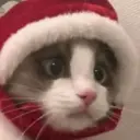 ස්ටිකර්