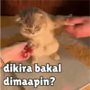 ஸ்டிக்கர்