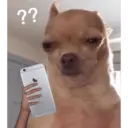 Կպչուն պիտակ