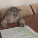 ស្ទីកเกอร์