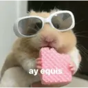 স্টিকার