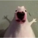 স্টিকার