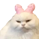 ස්ටිකර්